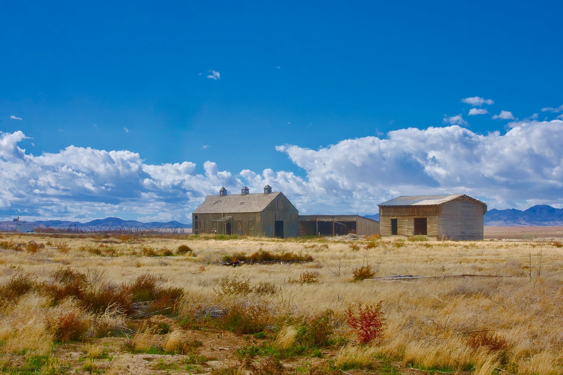 Barn landscape