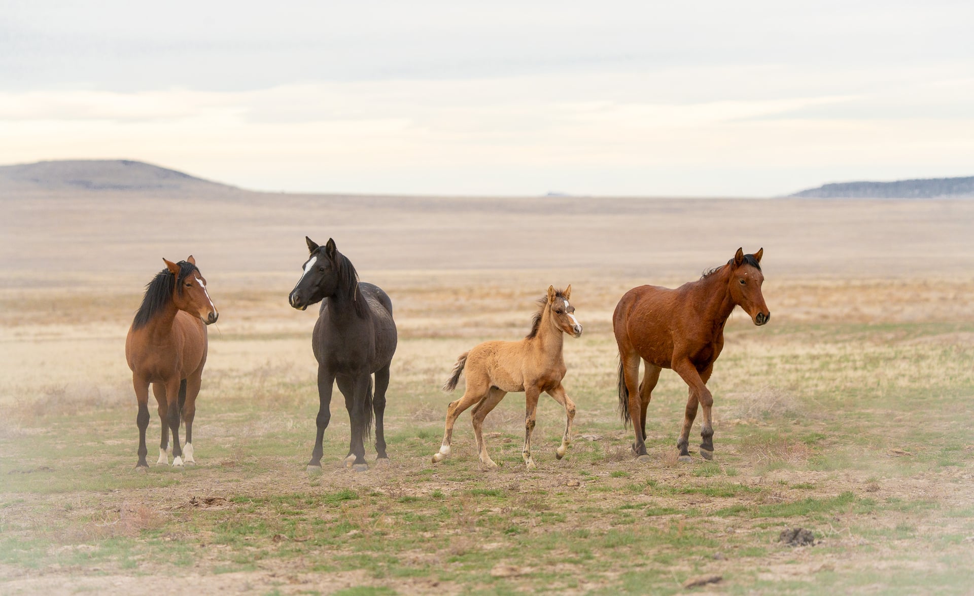 Family of 4 in Onaqui